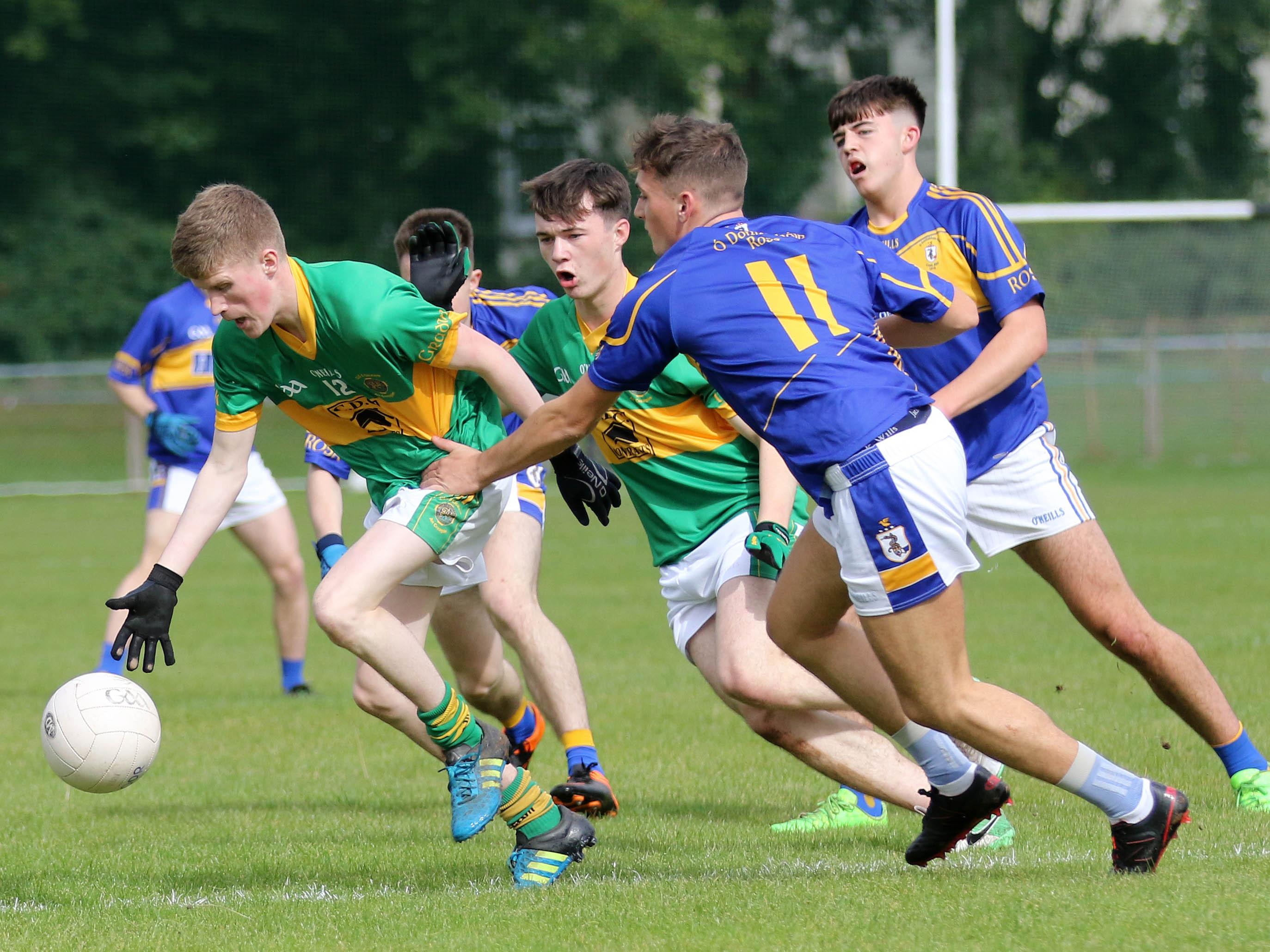 0R6A4242 The Saffron Gael