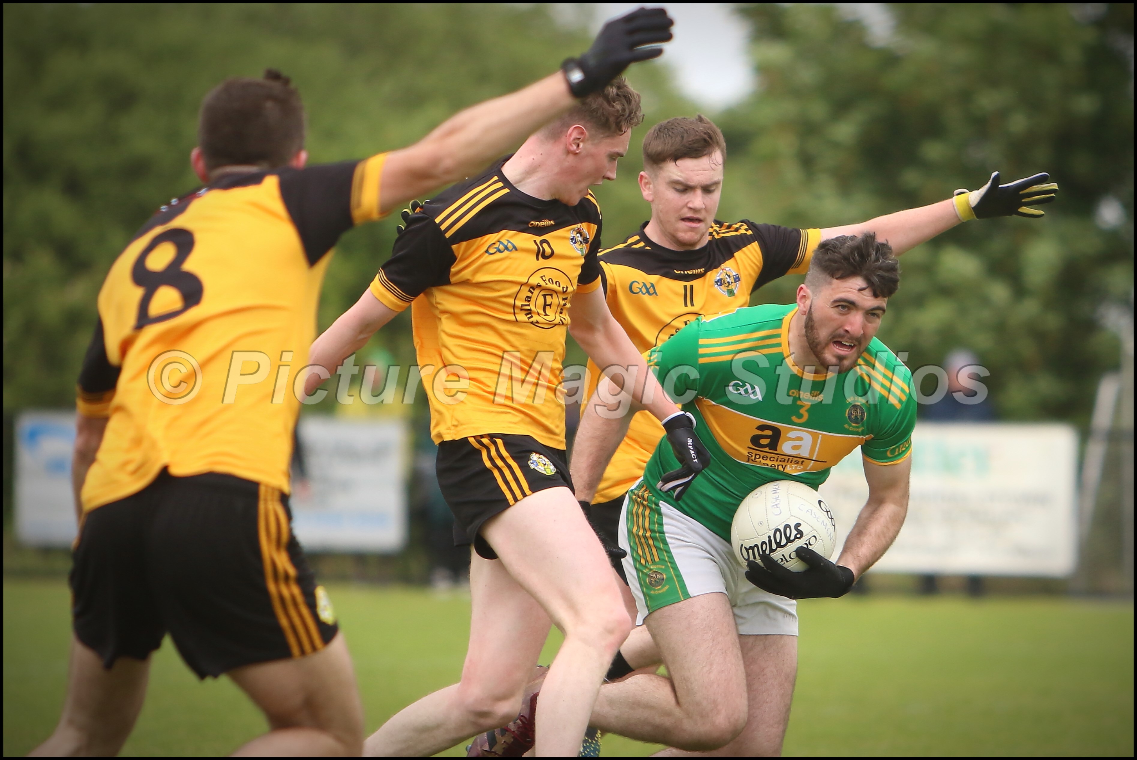 7B6A0072 The Saffron Gael