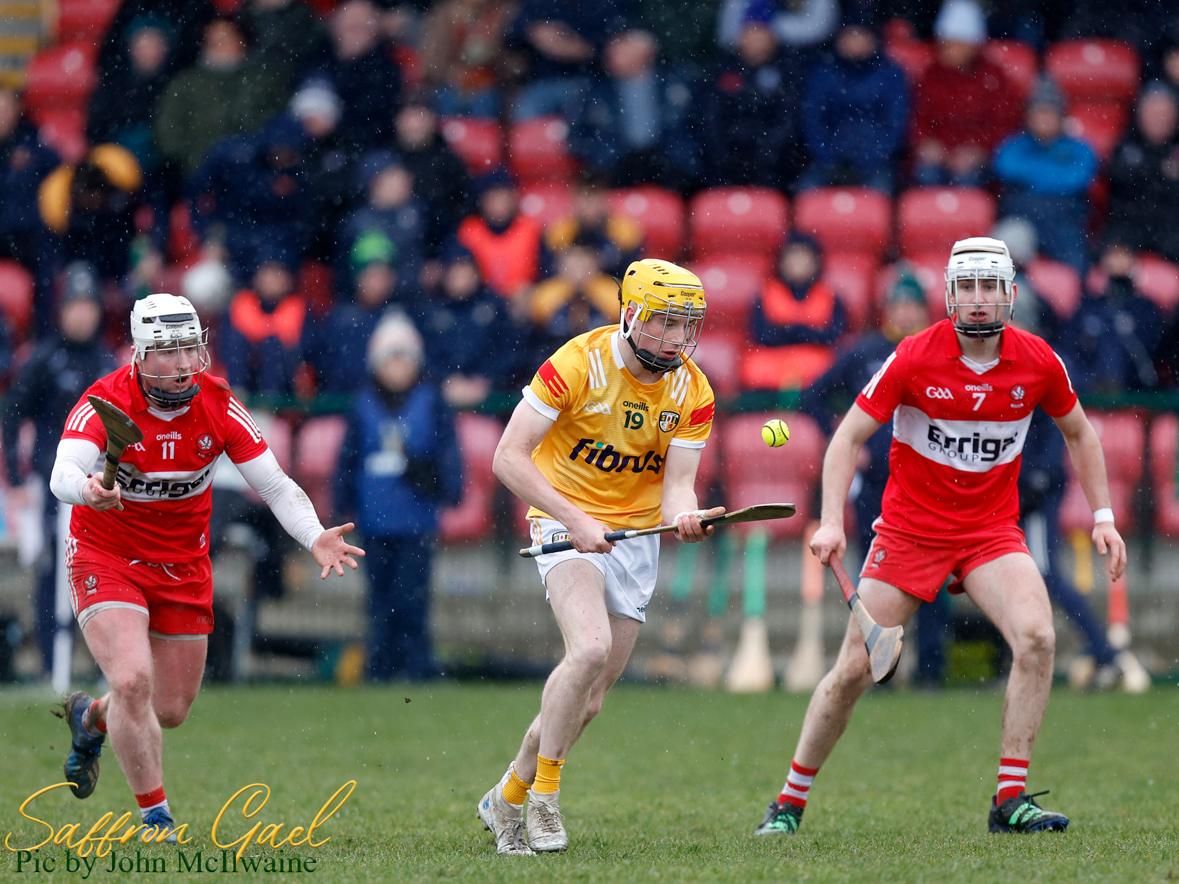 U6020 The Saffron Gael