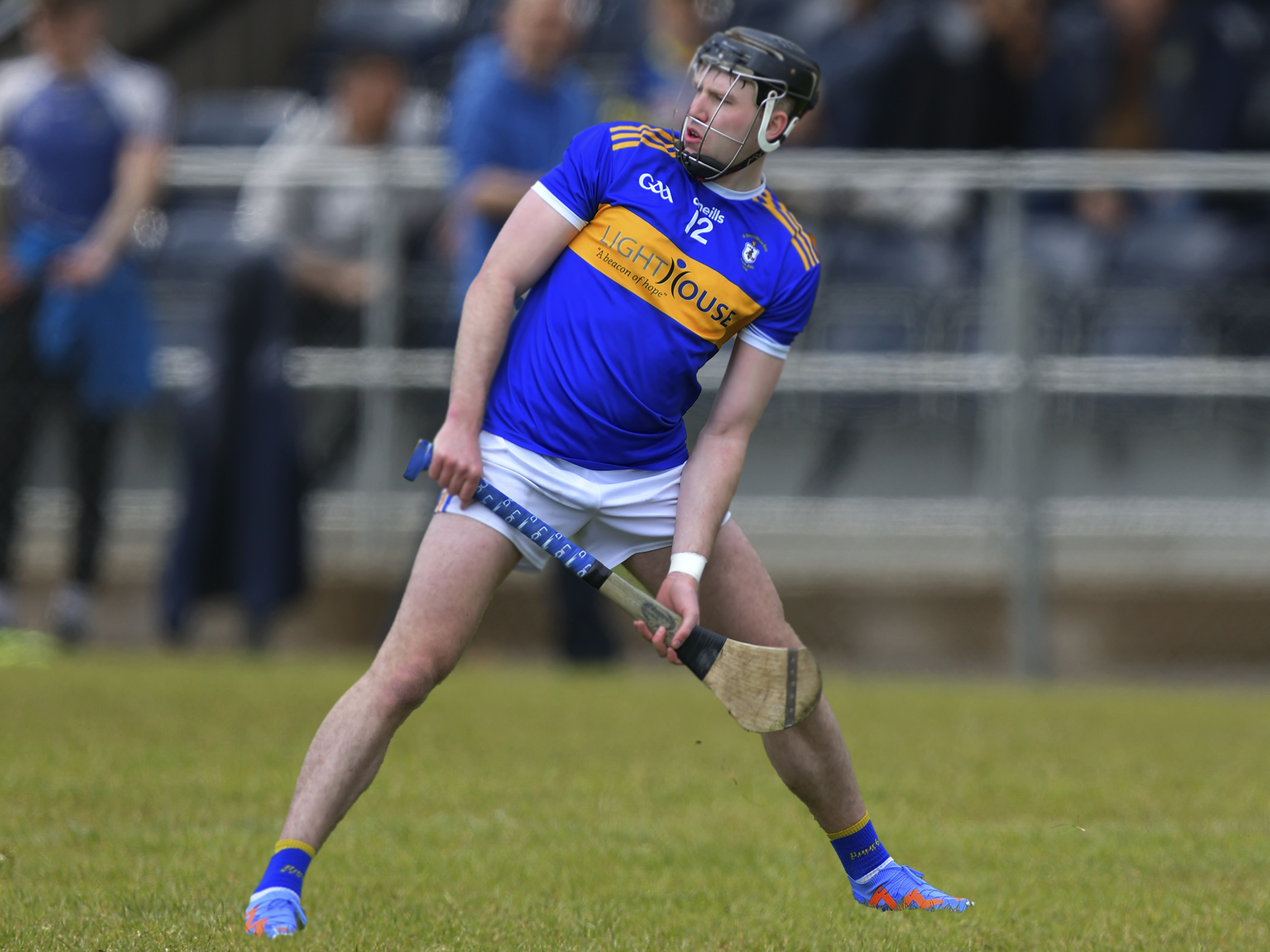 Crey Rly Carey Faughs await first win after trip to Rossa | The Saffron Gael